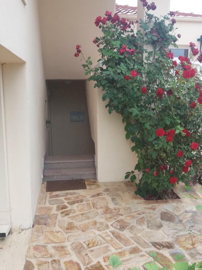 Villa Palma Skala Rachoni  エクステリア 写真